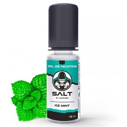 [LPVFRALISDN2820] Lips Sel de Nicotine - Ice mint (10 ml)
